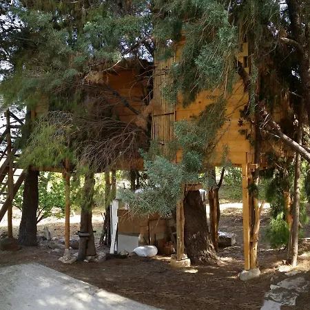 Casetta Sull'albero, Girasole