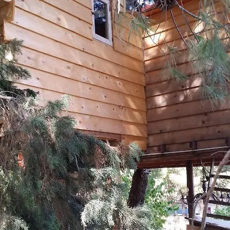 Lodge Casetta Sull'albero, Girasole *