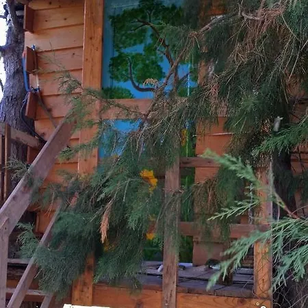 Casetta Sull'albero, Girasole Lodge *