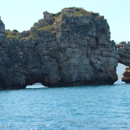 Casetta Sull'albero, Girasole * Castellammare del Golfo